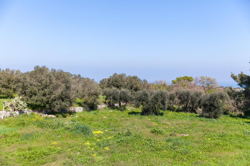 Villa Carenza Monopoli Bagian luar foto